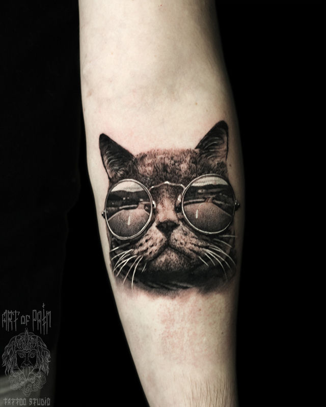Татуировка женская реализм на предплечье кот в очках – Мастер тату: Александр Pusstattoo