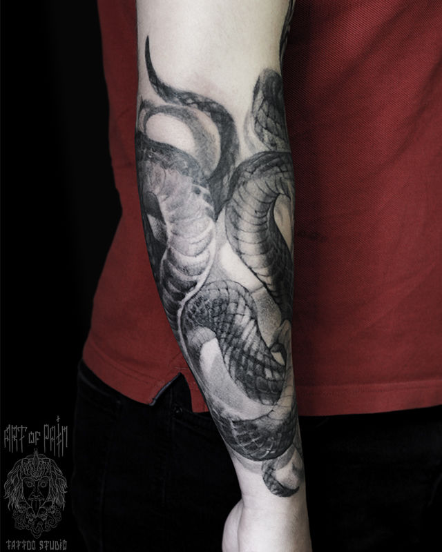 Татуировка мужская реализм на руке (предплечье) змея – Мастер тату: 