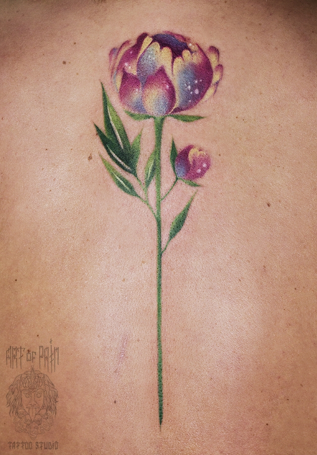 Женская татуировка на спине цветок в стиле акварель – Мастер тату: 