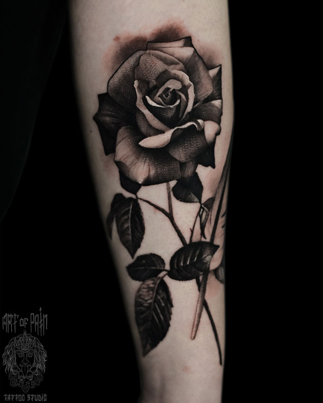 Татуировка женская реализм на предплечье роза – Мастер тату: Александр Pusstattoo