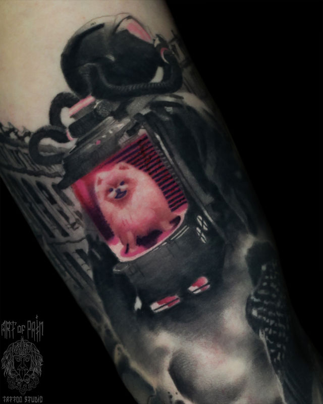 Татуировка женская реализм на руке собака – Мастер тату: Александр Pusstattoo