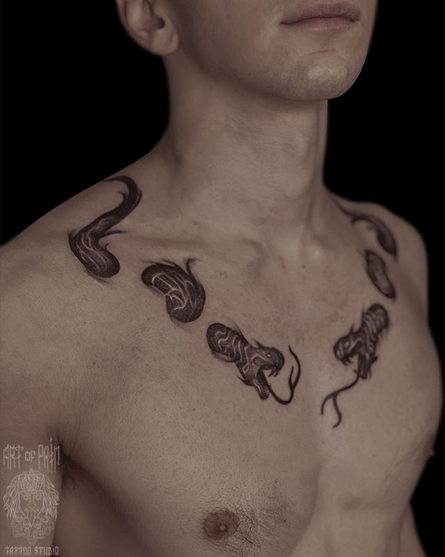 Татуировка мужская графика и орнаментал на груди змея – Мастер тату: 