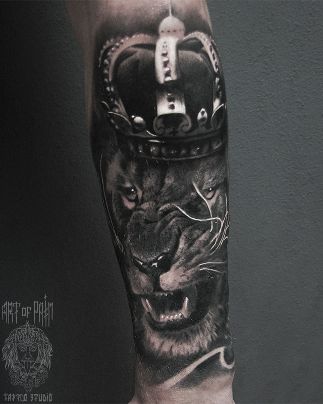 Татуировка мужская реализм на предплечье лев в царской короне – Мастер тату: Александр Pusstattoo