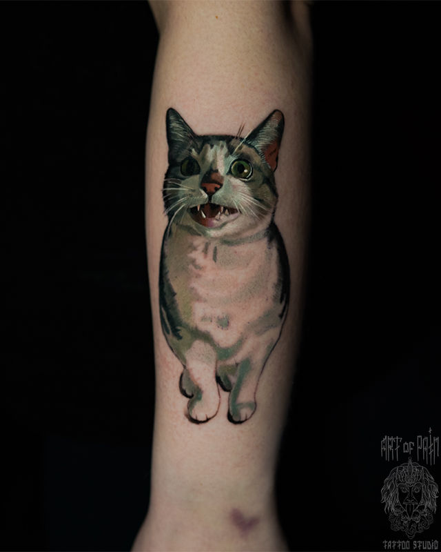 Татуировка женская реализм на предплечье кот – Мастер тату: Анастасия Юсупова