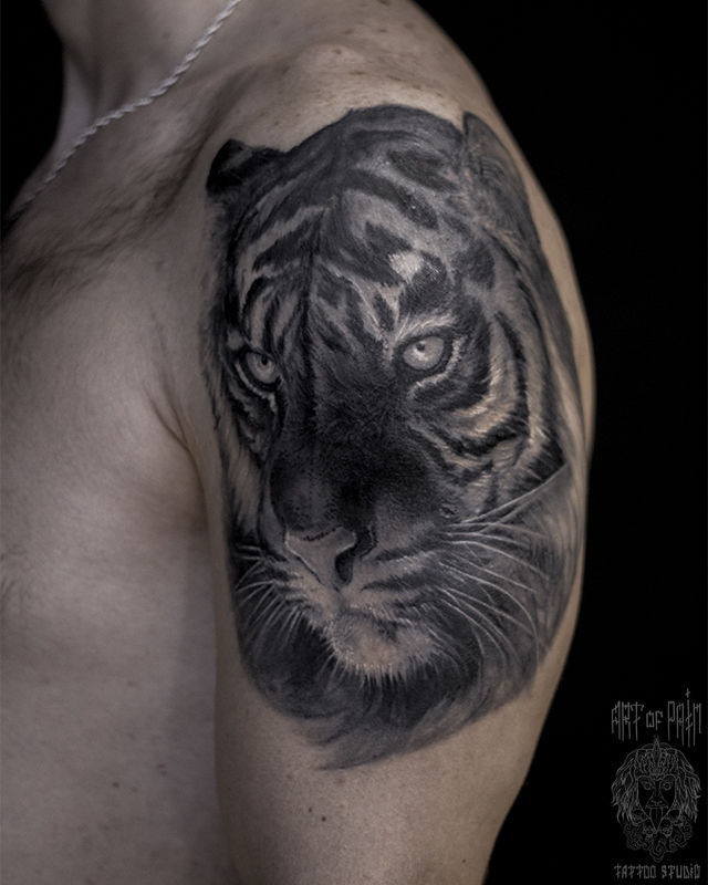 Татуировка мужская реализм на плече голова тигра – Мастер тату: 