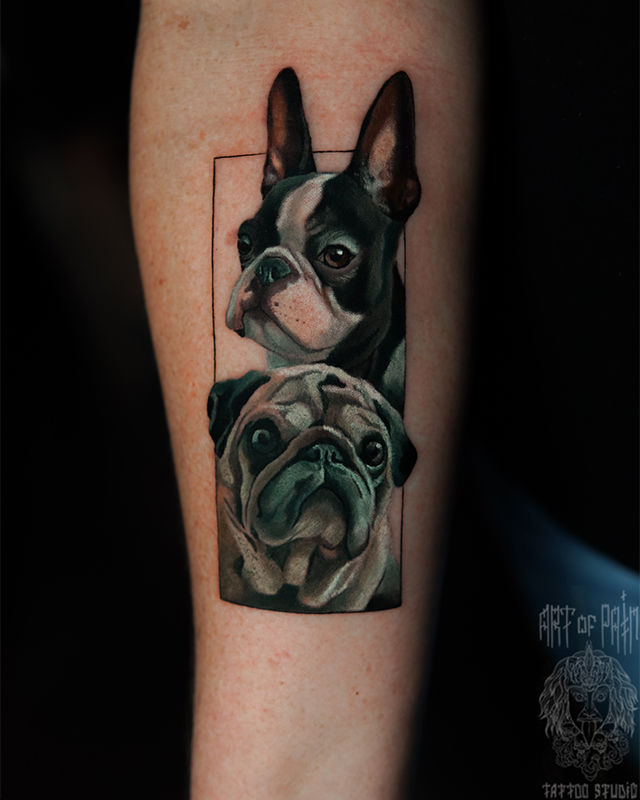 Татуировка женская реализм на предплечье собаки – Мастер тату: Анастасия Юсупова