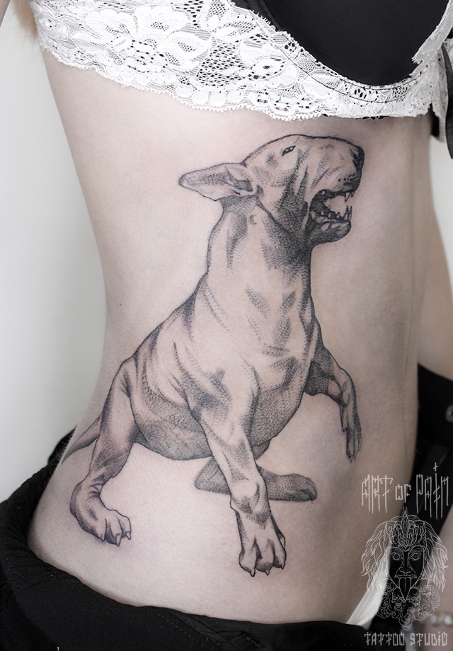 Татуировка женская графика на боку собака – Мастер тату: 