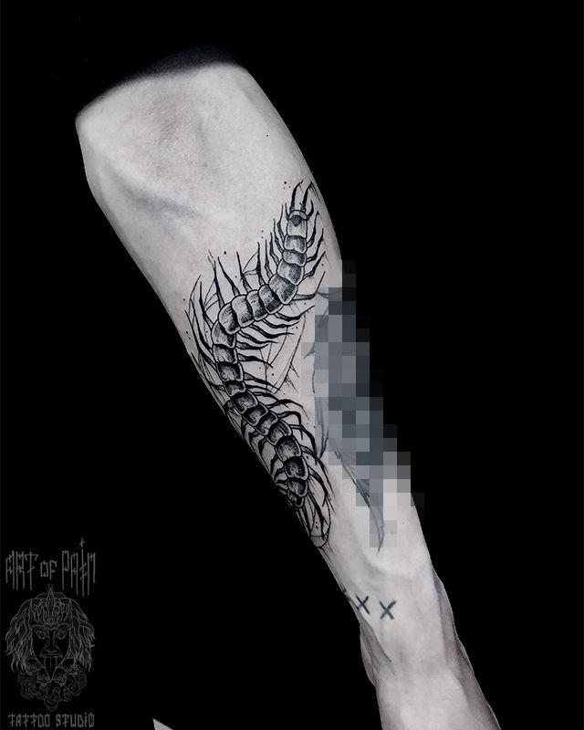 Татуировка мужская графика на предплечье мукаде – Мастер тату: Мария Котова