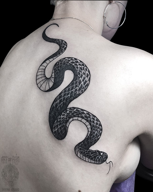Татуировка женская графика на спине черная змея – Мастер тату: Мария Котова