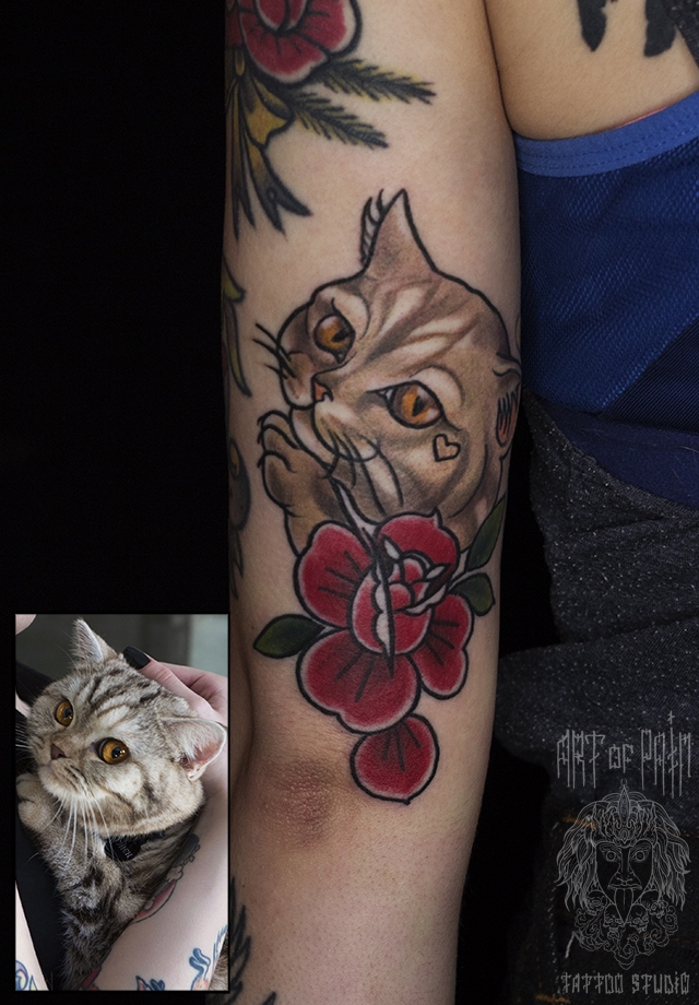Татуировка женская олд скул на руке кошка – Мастер тату: 