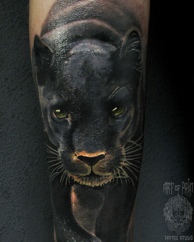 Татуировка мужская реализм на предплечье пантера – Мастер тату: Александр Pusstattoo