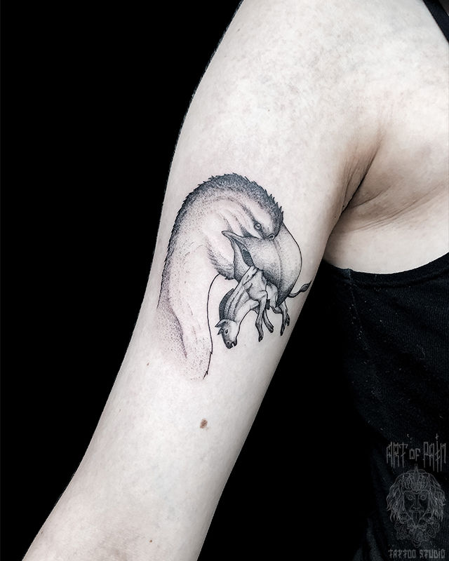 Татуировка женская графика на руке птица и осел – Мастер тату: Мария Котова