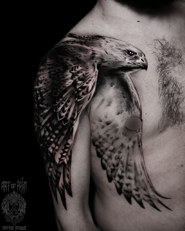 Татуировка мужская реализм на плече сокол – Мастер тату: Дмитрий Шейб