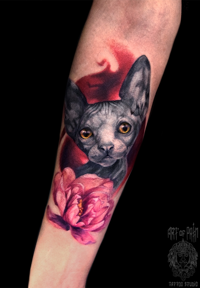 Татуировка женская реализм на предплечье котик и цветок – Мастер тату: 