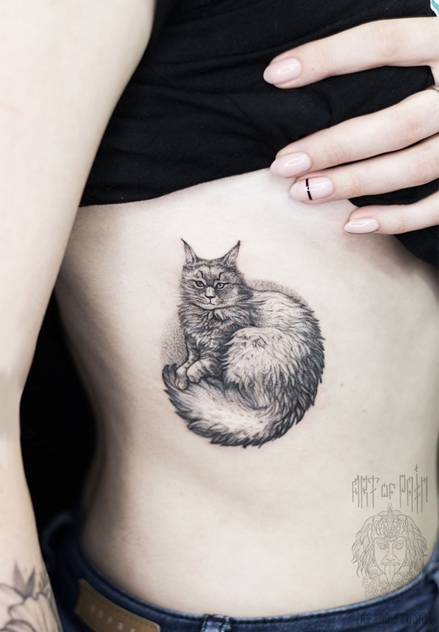 Татуировка женская графика на боку пушистый кот – Мастер тату: 