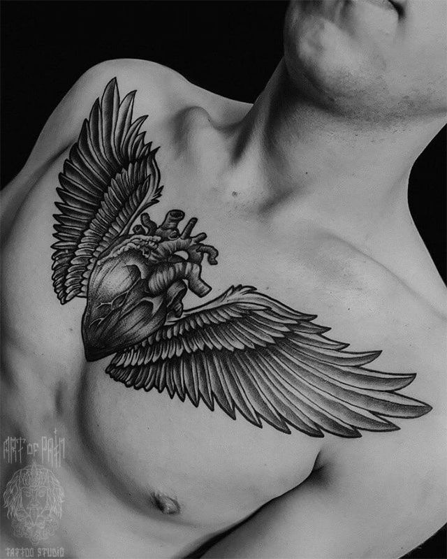 Татуировка мужская графика на груди сердце и крылья – Мастер тату: 