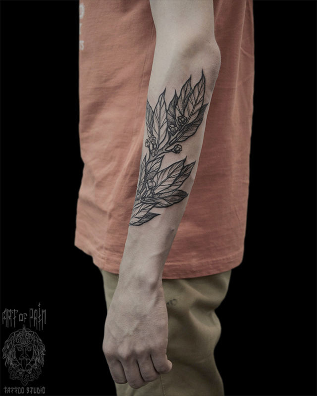 Татуировка мужская графика на предплечье ветка – Мастер тату: Надежда Полякова