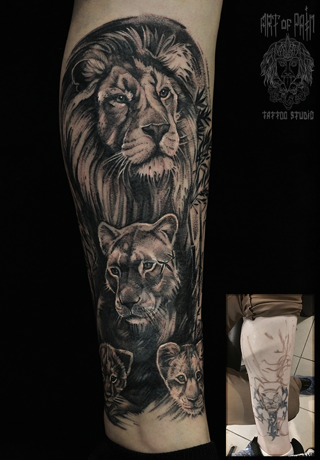 Татуировка мужская black&grey на ноге львы – Мастер тату: 