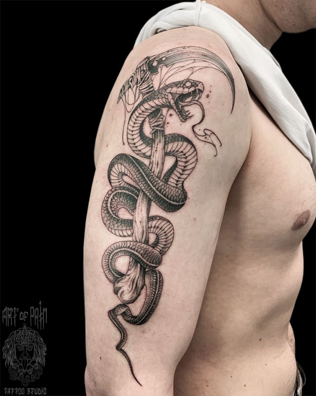 Татуировка мужская графика на плече змея – Мастер тату: Мария Челнокова