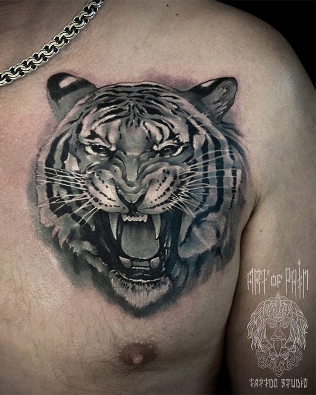 Татуировка мужская black&grey на груди тигр – Мастер тату: 