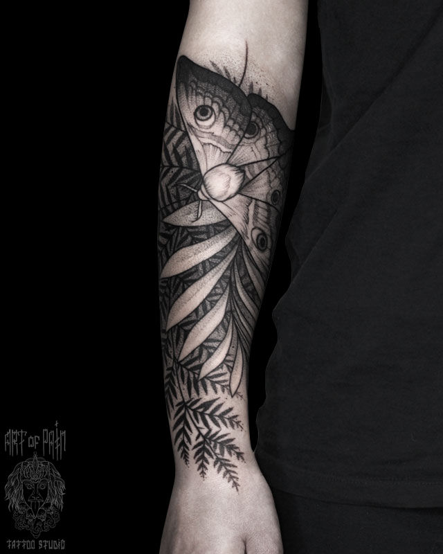 Татуировка женская графика на предплечье мотылек в папоротнике – Мастер тату: 