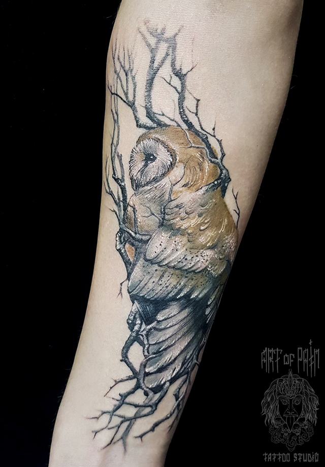 Татуировка женская реализм на предплечье сова на дереве – Мастер тату: 