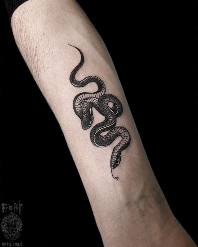 Татуировка мужская графика на предплечье черная змейка – Мастер тату: Кирилл Плотников