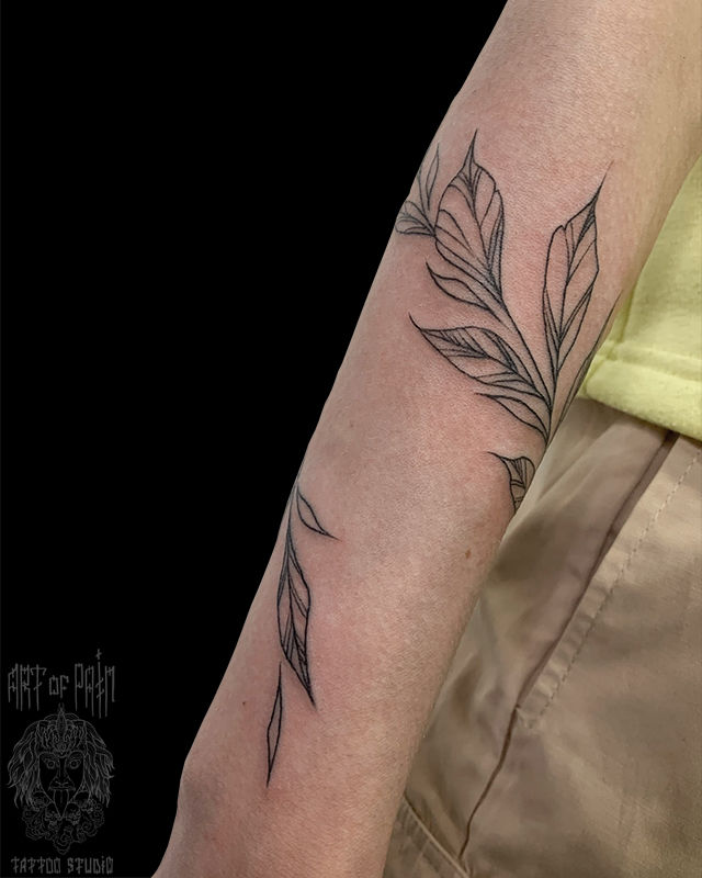 Татуировка женская графика на предплечье растение – Мастер тату: Мария Челнокова