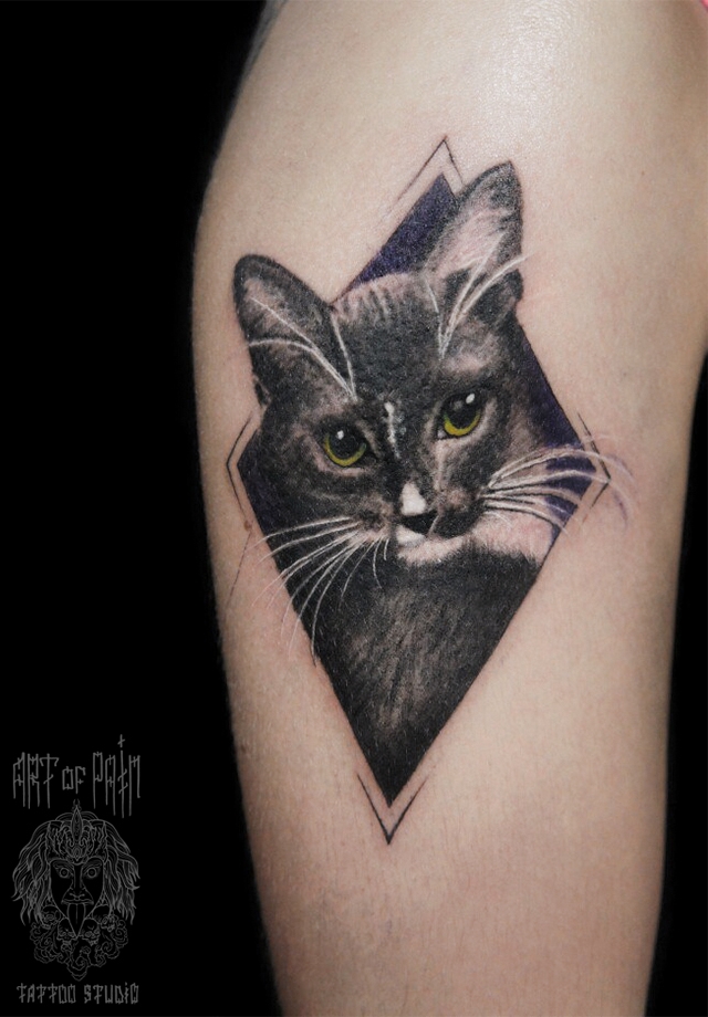 Татуировка женская реализм на руке кот – Мастер тату: Анастасия Родина
