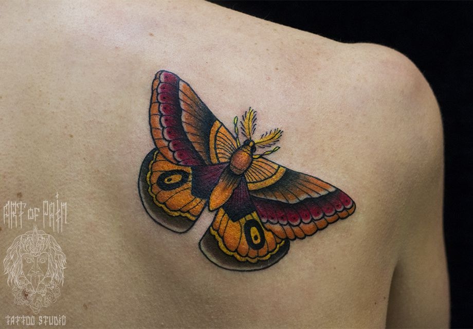 Татуировка женская олд скул на лопатке бабочка – Мастер тату: 