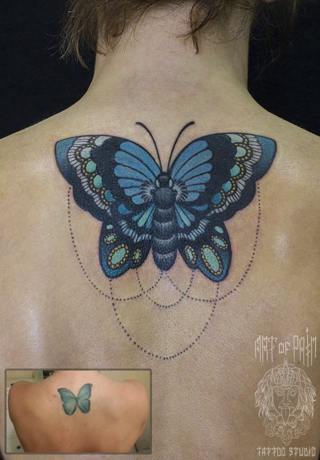 Татуировка женская олд скул на спине бабочка – Мастер тату: 
