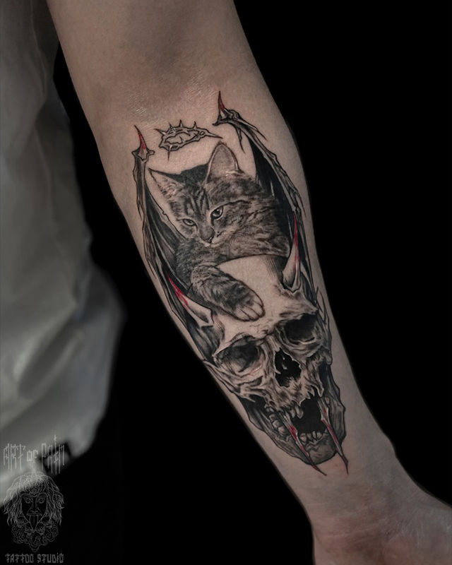 Татуировка мужская реализм на предплечье череп и котик – Мастер тату: Анастасия Nevra