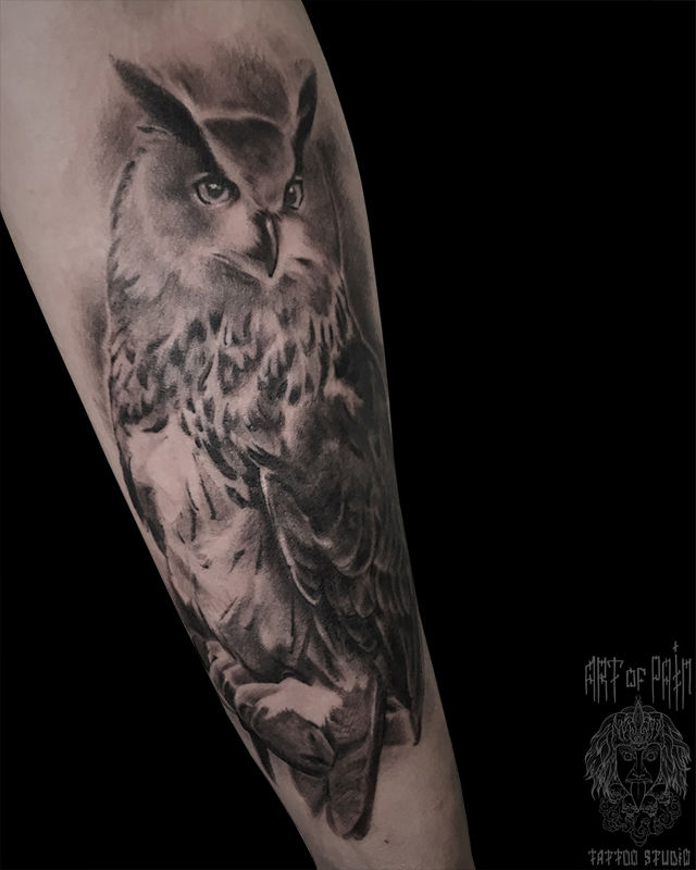 Татуировка мужская реализм на предплечье сова – Мастер тату: 