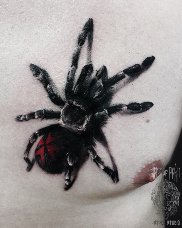 Татуировка мужская black&grey на груди паук – Мастер тату: 