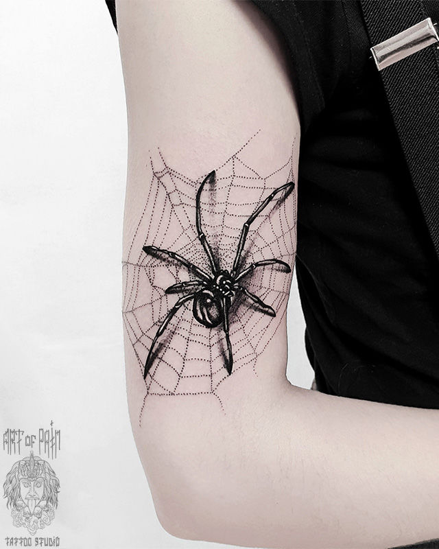 Татуировка женская графика на плече паук на паутине – Мастер тату: 