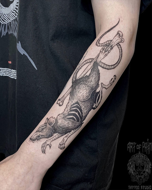 Татуировка женская графика на предплечье крыса – Мастер тату: Мария Котова