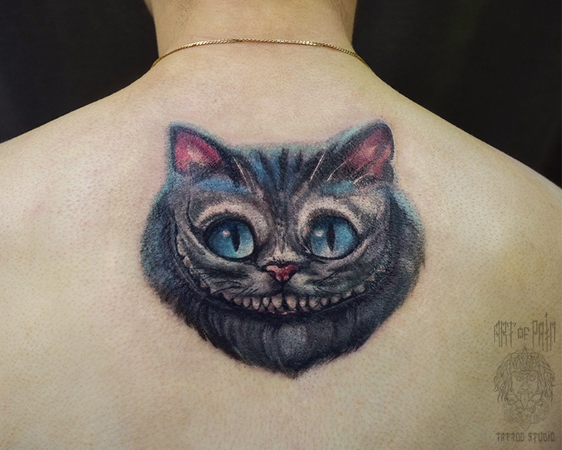 татуировка женская фентези на спине чеширский кот – Мастер тату: 