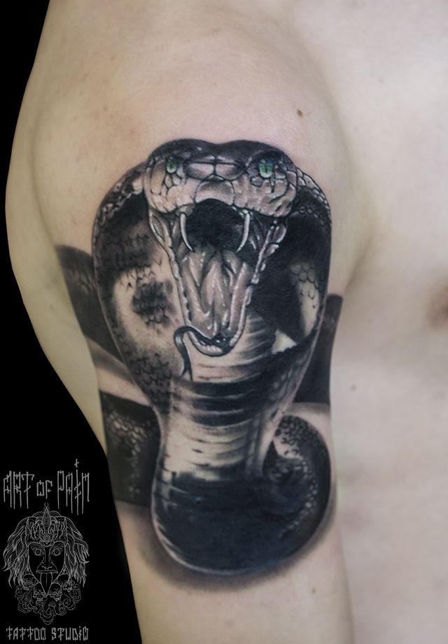 Татуировка мужская реализм на плече кобра – Мастер тату: 