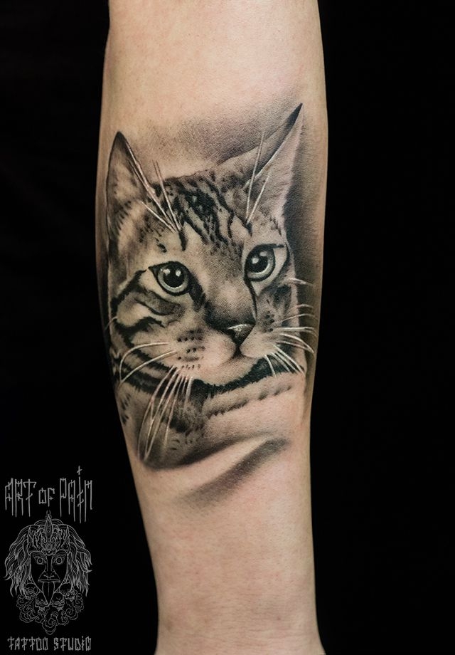 Татуировка женская реализм на предплечье кот – Мастер тату: 