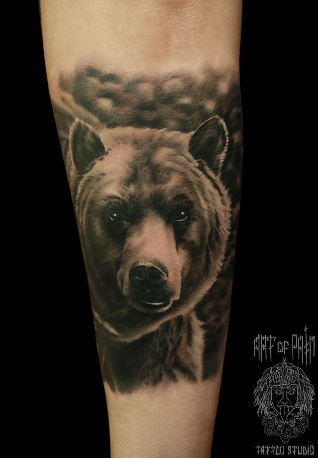 Татуировка мужская реализм на предплечье медведь – Мастер тату: 