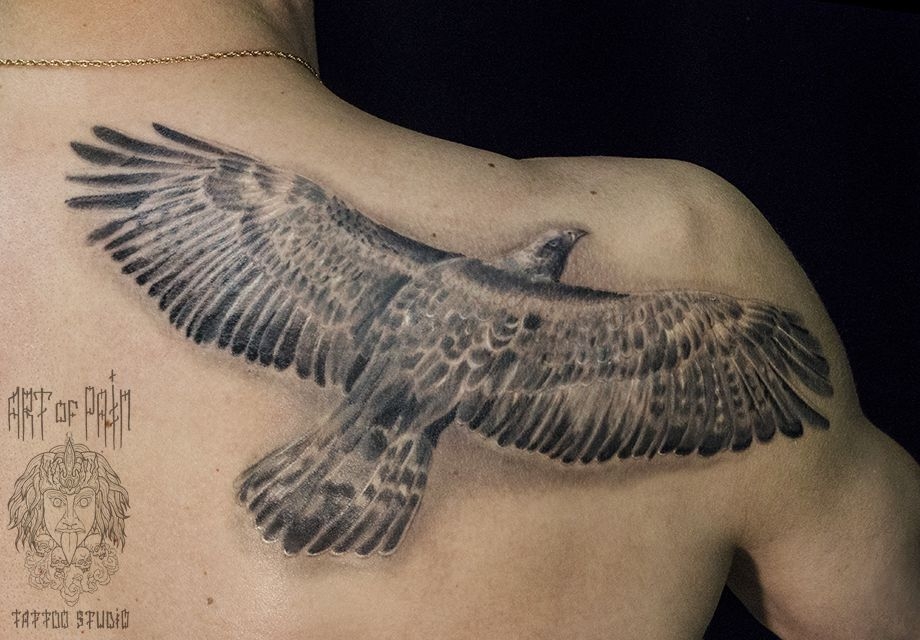 Татуировка мужская реализм на лопатке орел – Мастер тату: 