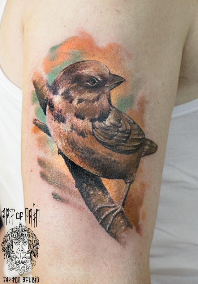 Татуировка женская реализм на плече птицы – Мастер тату: 