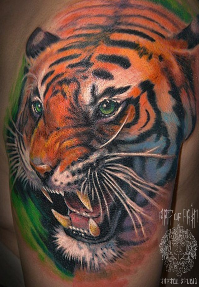 Татуировка мужская цветной реализм на плече тигр – Мастер тату: 