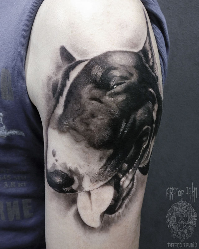 Татуировка мужская реализм на плече собака – Мастер тату: 