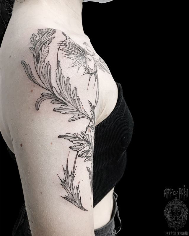 Татуировка женская графика на плече чертополох (вид сбоку) – Мастер тату: Мария Челнокова