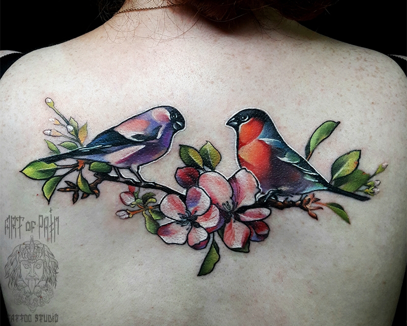 Татуировка женская реализм на спине птицы – Мастер тату: 