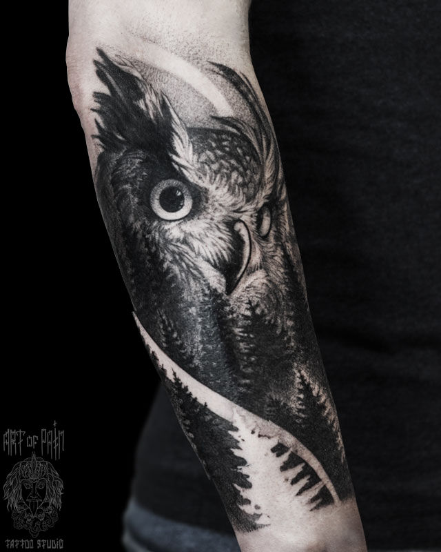 Татуировка женская графика на предплечье сова и лес – Мастер тату: 