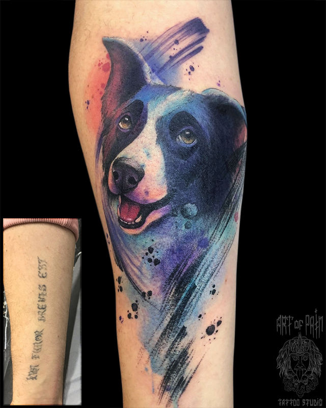 Татуировка мужская акварель на предплечье собака – Мастер тату: Анастасия Родина