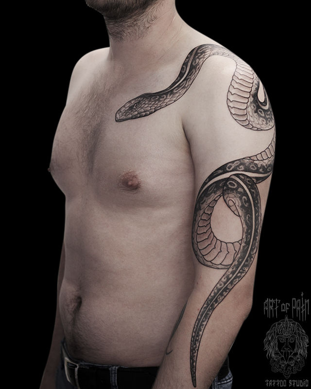 Татуировка мужская графика на руке змея – Мастер тату: 