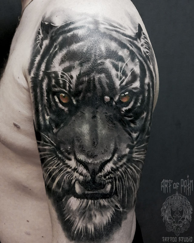 Татуировка мужская реализм на плече тигр – Мастер тату: 